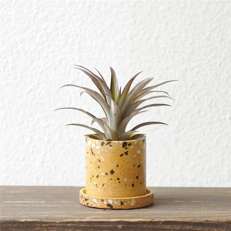 New arrival cylinder cup and saucer shape terrazzo home decor flowerpot / succulent planter pot