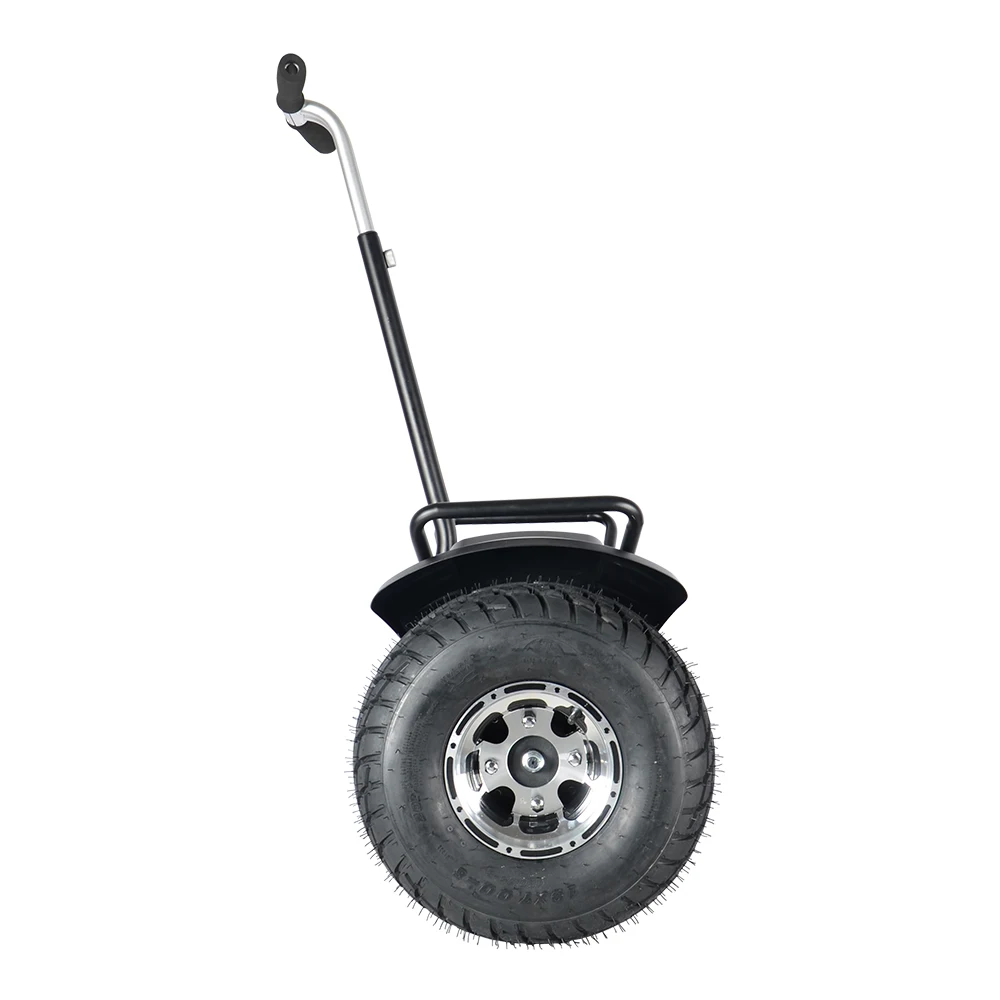 Popular 19 inch fat tire electric chariot covered 48V 2000W self balanced scooter