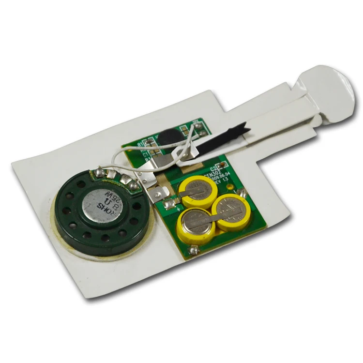 Custom greeting cards programmable sound voice recorder module