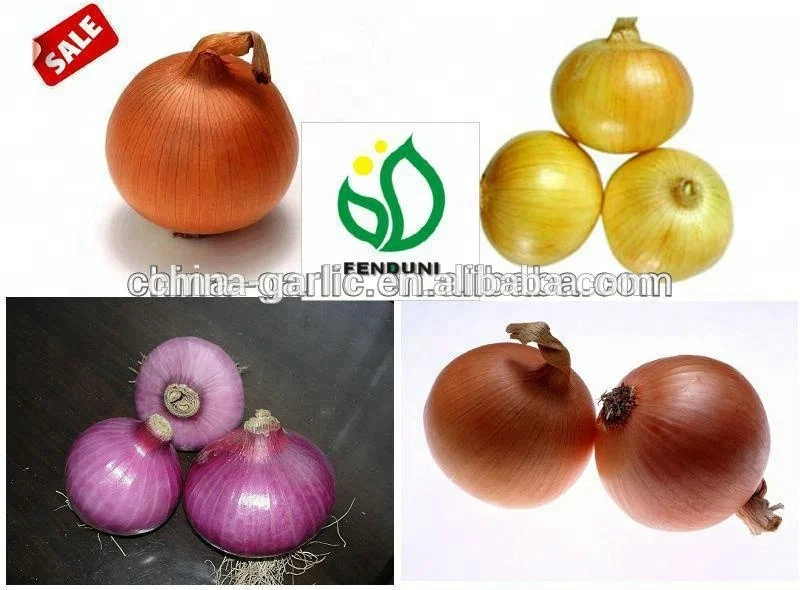 Дешевый урожай лука 2021 по низкой цене