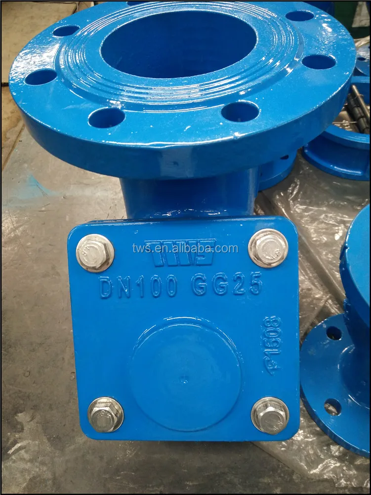 4 inch DN100 PN10 GG25 Cast Iron Water Valve of China Factory Flanged Type Y Strainer