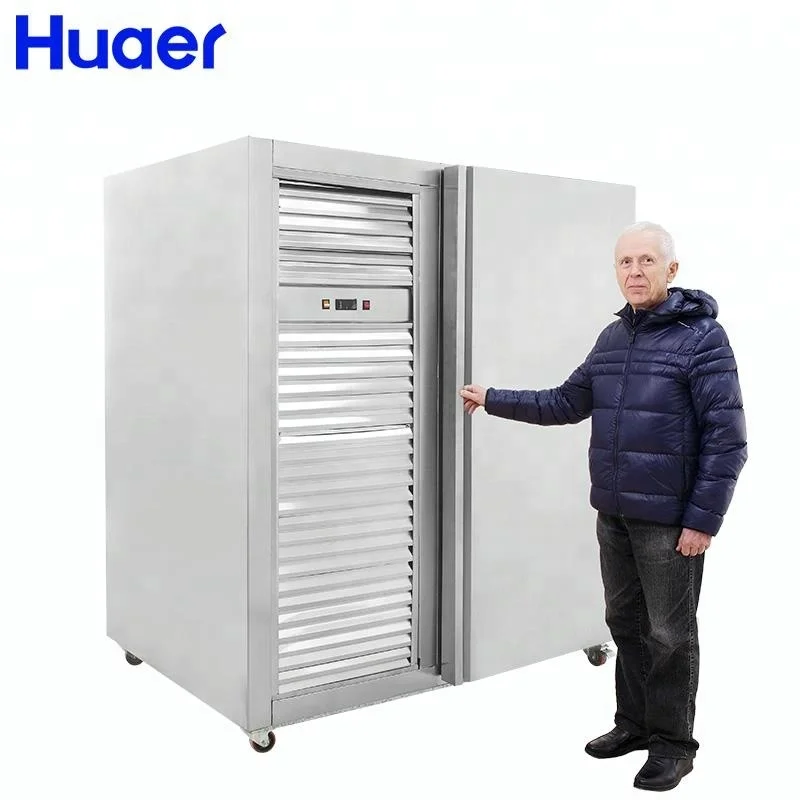 commercial instant shock deep freezer fish machine