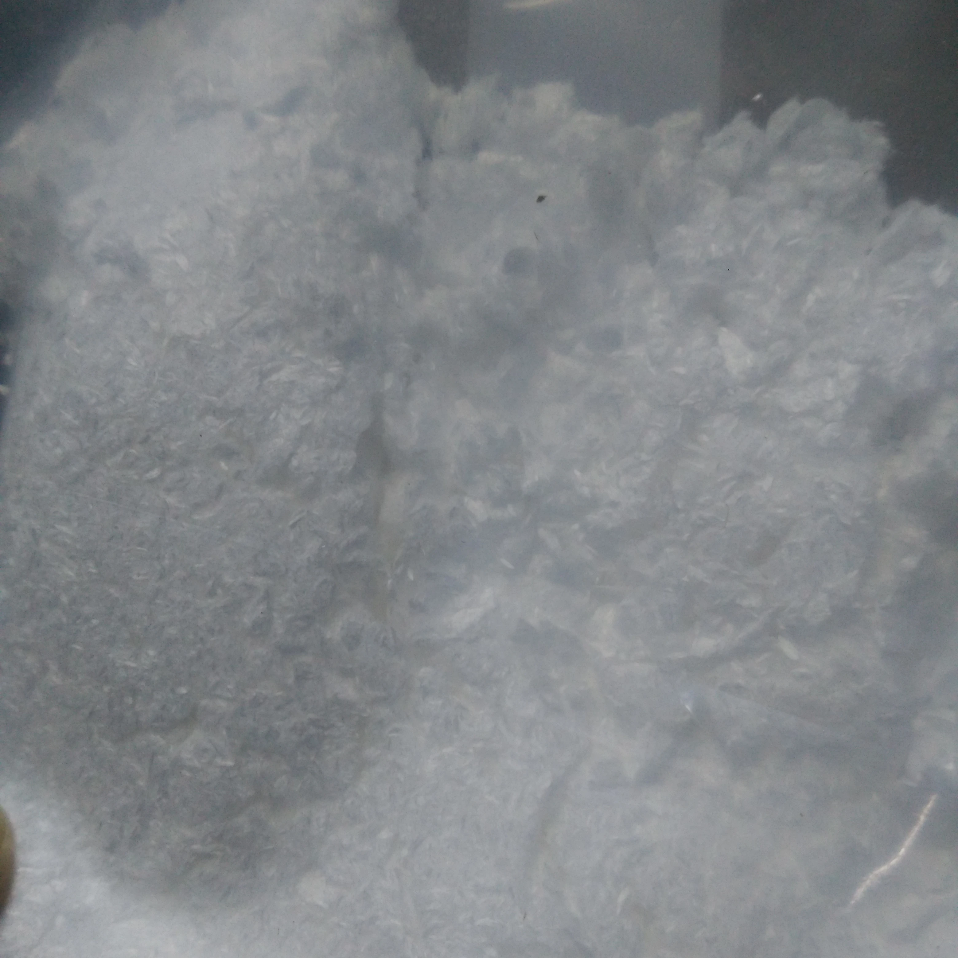 
Factory supply Intermediates cas no 6564-72-3&4132-28-9 Assay 98.5~99% 