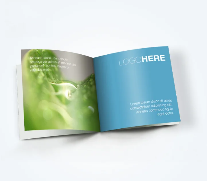 High Quality Premium Brochure/ Flyer/Booklet Printing Brand Manufacturer
