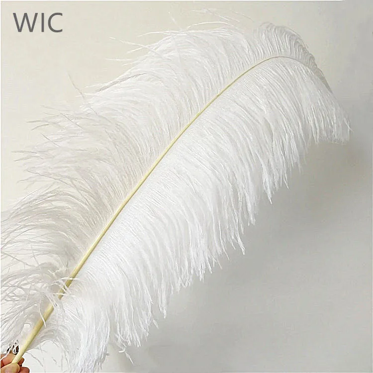 28-30in/70-75cm Ostrich Pluma Black Cheap Decoration Bleached White Ostrich Feathers
