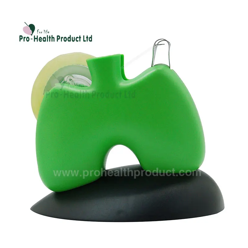 Cute Easy Thermal Portable Small Novelty Manual  Custom Design Tape Dispenser Lung Shape Tape Holder