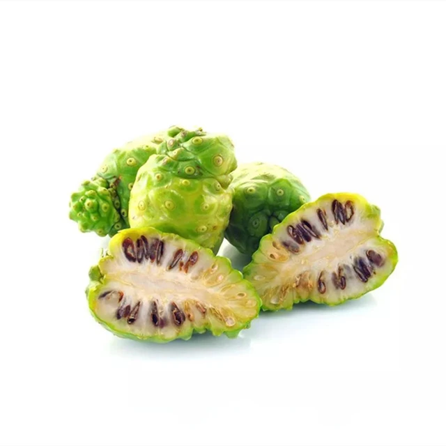 
Natural Noni Powder Price Noni Prices Noni Fruit Extract Bulk 