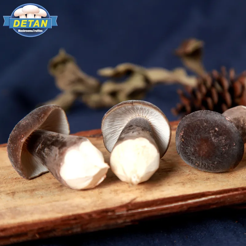 Черная коллибия альбуминоза Detan для покупателей