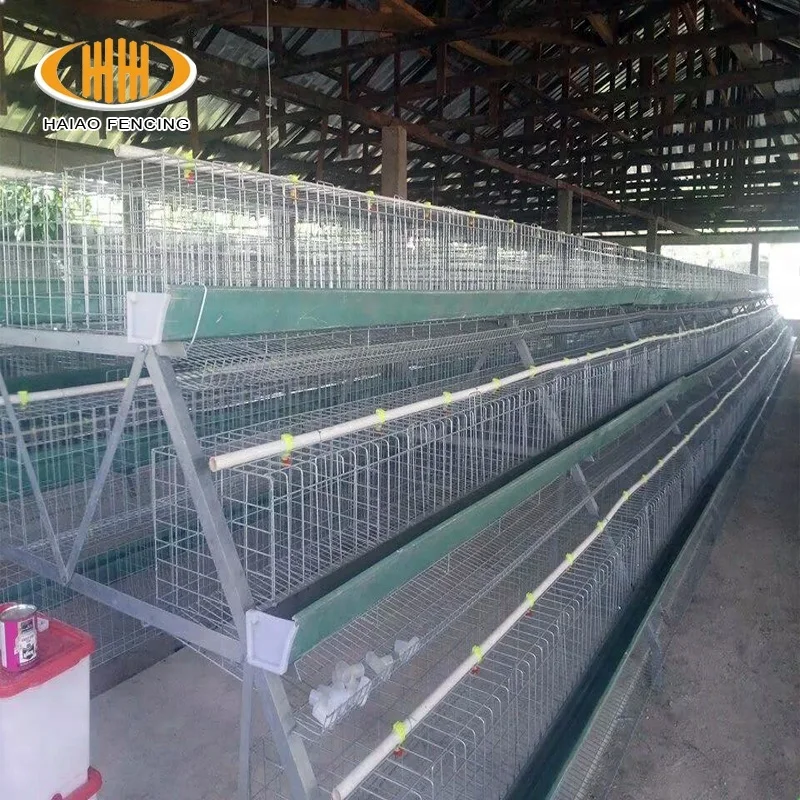China factory wholesale low price good poultry chicken cages layer cages egg chicken