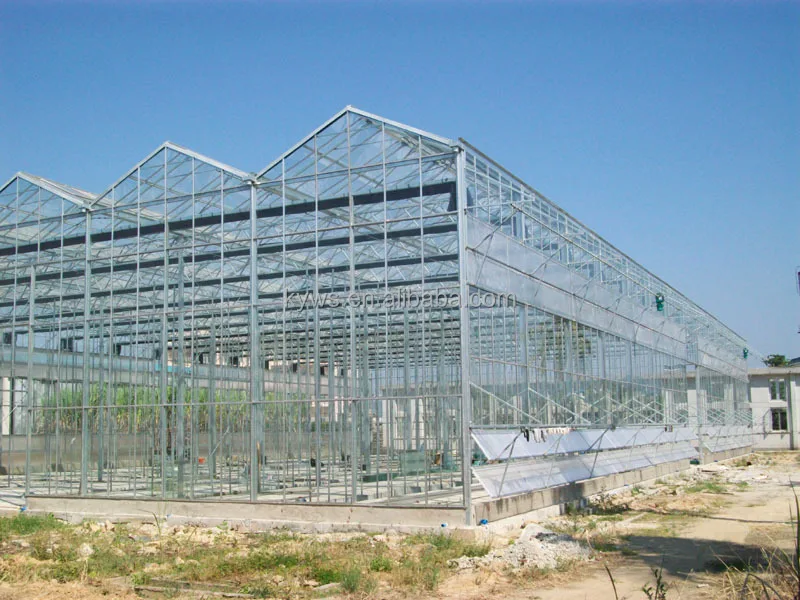 Foshan Factory Wholesale Custom Terrarium Plexiglass Sunrooms Greenhouse Garden For Plant Growth
