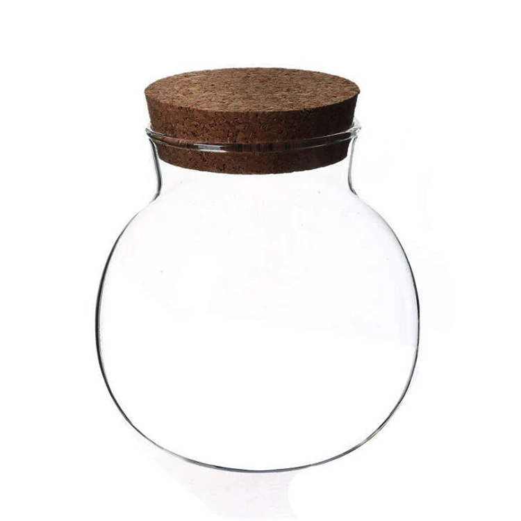 Glass Terrarium Container Bell Jars, Plant Terrarium in Glass Jar