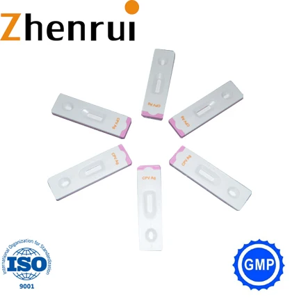 
One Step test kits chlamydia rapid test Chlamydia medical Device 