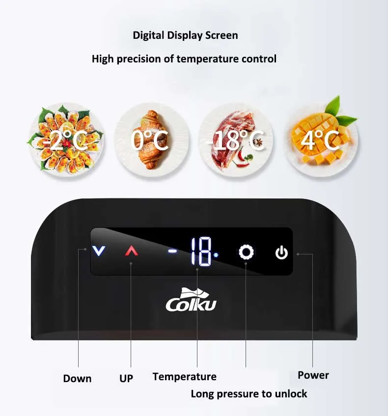 DC 12V/24V Outdoor Dual Temperature Zone Mini Refrigerator Compressor Portable Car Fridge