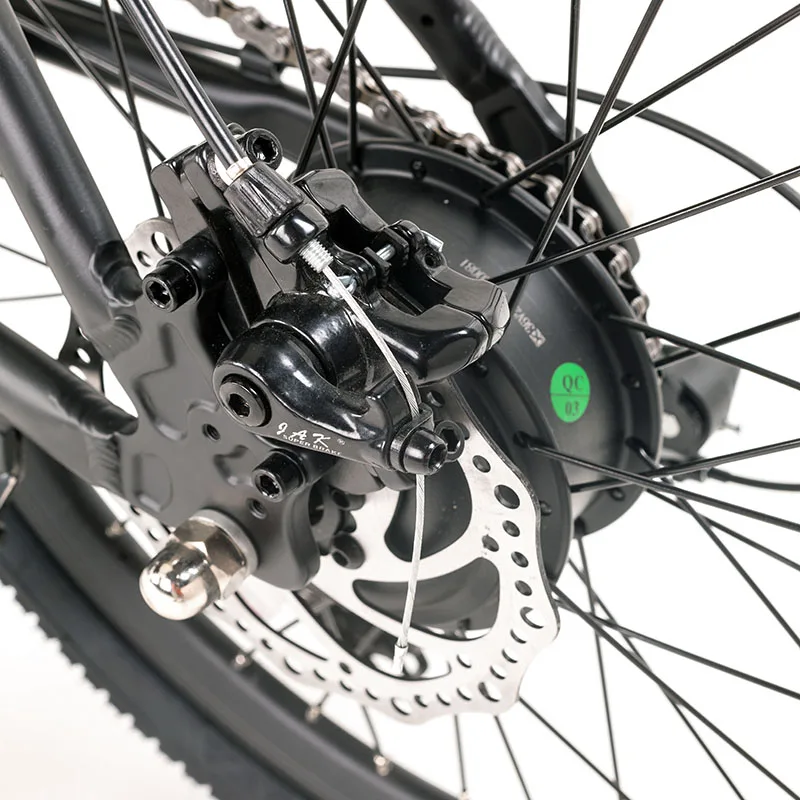 Italian Electric Bike/ Electricbikes 20 Inch Bicicleta Electrica China Electronic Lithium Battery Rear Hub Motor Aluminum Alloy