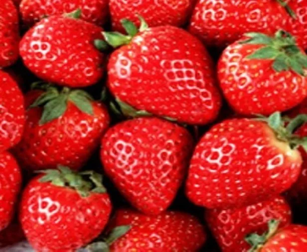 
Fresh Strawberry 
