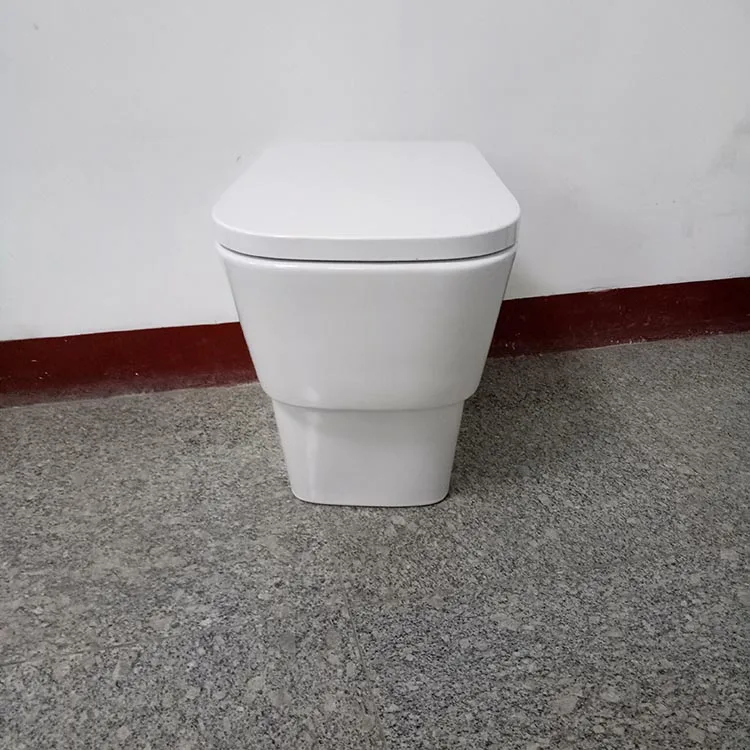 
Child Closet Kid From China Sanitary Ware Bowl Cheap Two Piece Back To Wall Ceramic Toilet 