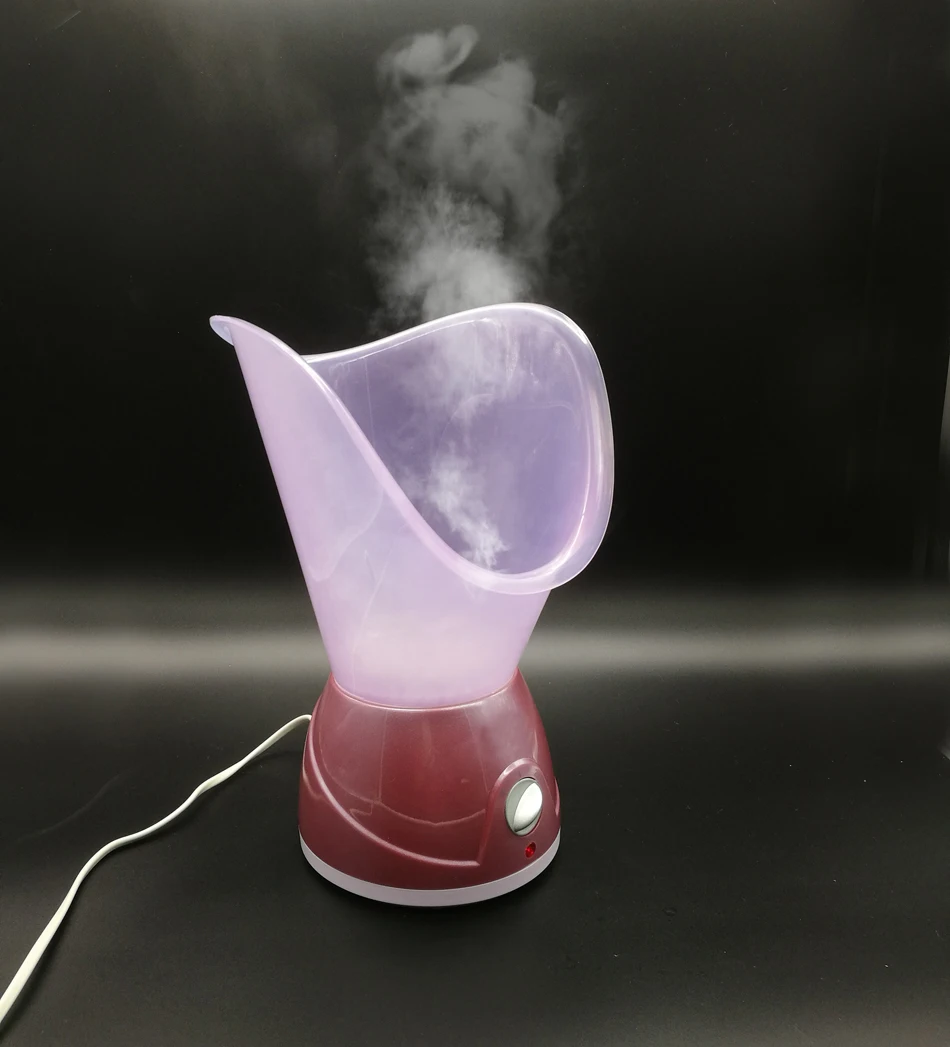 Personal use home spa professional skin care portable face steamer