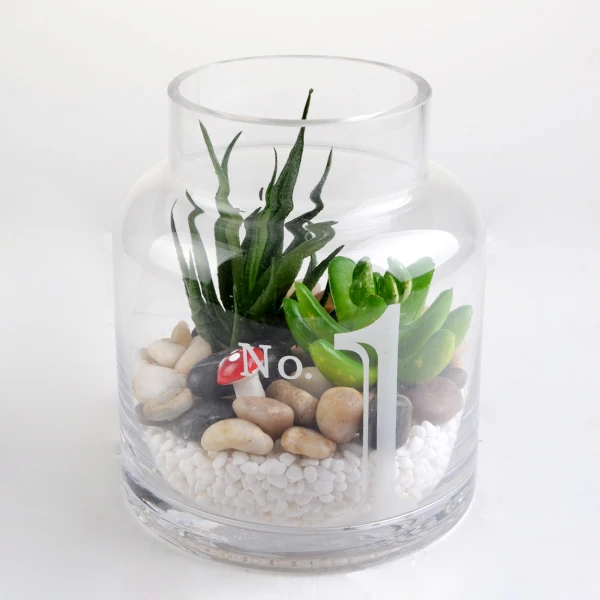 Mintao handblwon round clear glass plant holder glass terrarium
