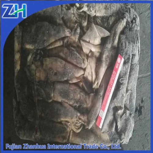 Squid Whole Round Ommastrephes Bartrami Squid 300-500g Frozen Squid