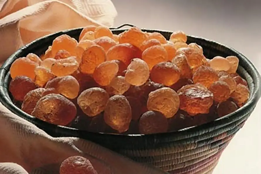 gum arabic food additives
