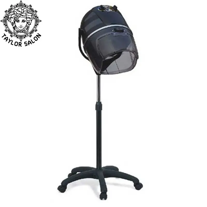 Portable hair steamer and hair dryer accelerator hair steamer for sale