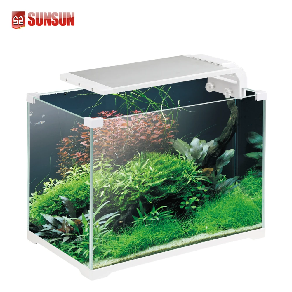 SUNSUN wholesale aquarium fish exporter in kerala ATK-250