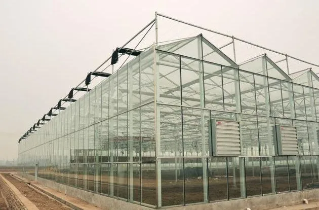 
Low cost high quality hydrophonic greenhouse 