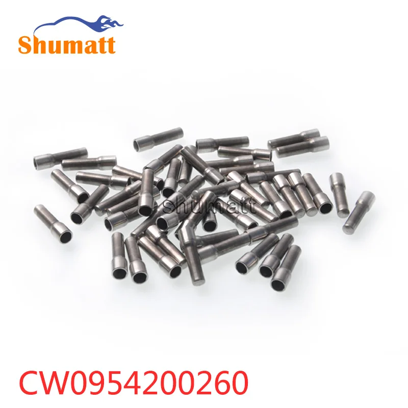 Натуральная дизельная Форсунка системы питания с общей торливной магистралью фильтр CW095420-0260 10 шт. в комплекте