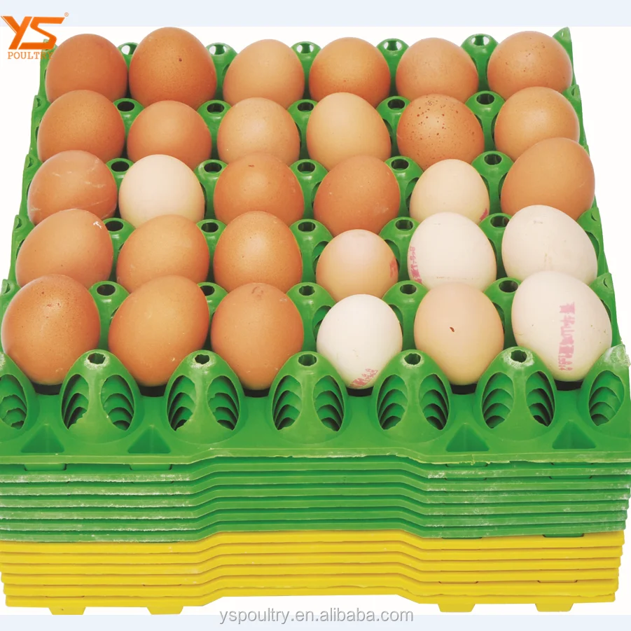 Factory Sale Plastic Egg Tray Made By PE Plastic