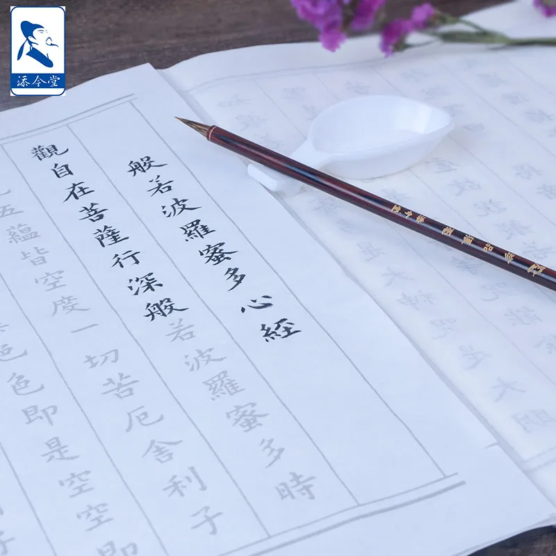 Chinese Calligraphy Rice/Sumi /Xuan Paper For Caliigraphy Writing and Ink Painting