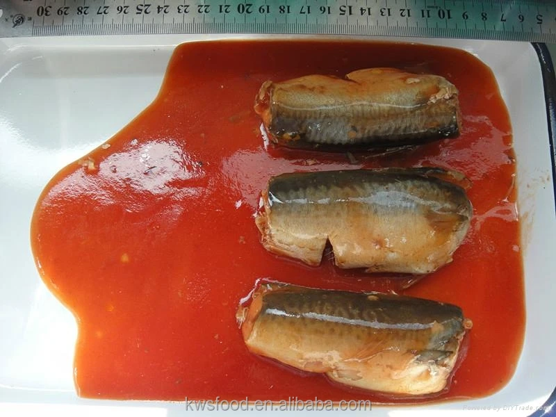 
425g oval tins canned jack mackerel in tomato sauce 