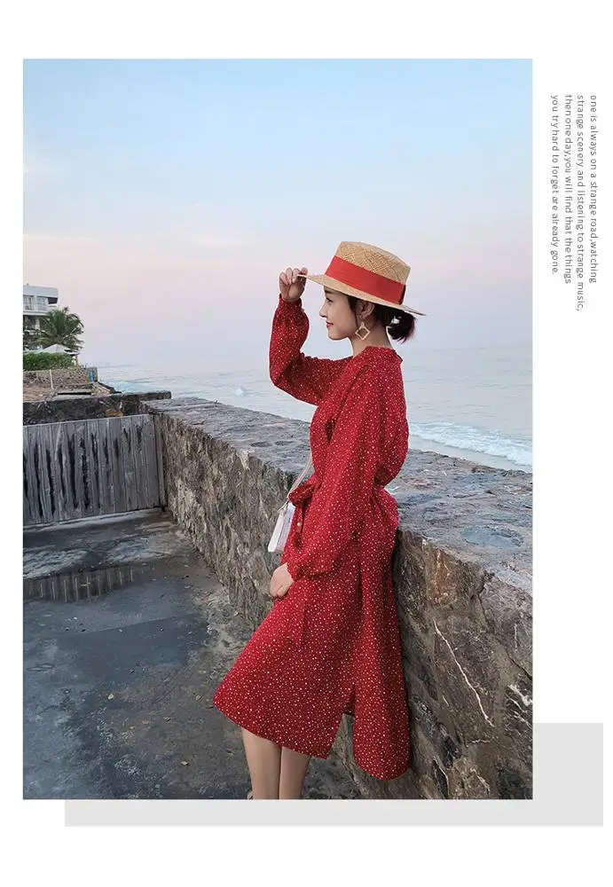 bohemian Polka dot dress French retro dress 2019 spring Victorian chiffon dress button down