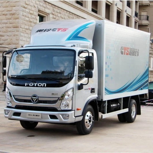 
Frozen food water mini Small Refrigerator freezer Box cargo Truck 