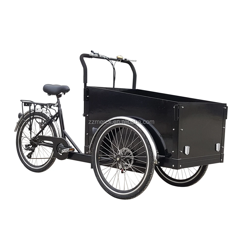 Magazines and Mails Delivery Three Wheel Denmark Electric Trike Cargo Bike for Sale
