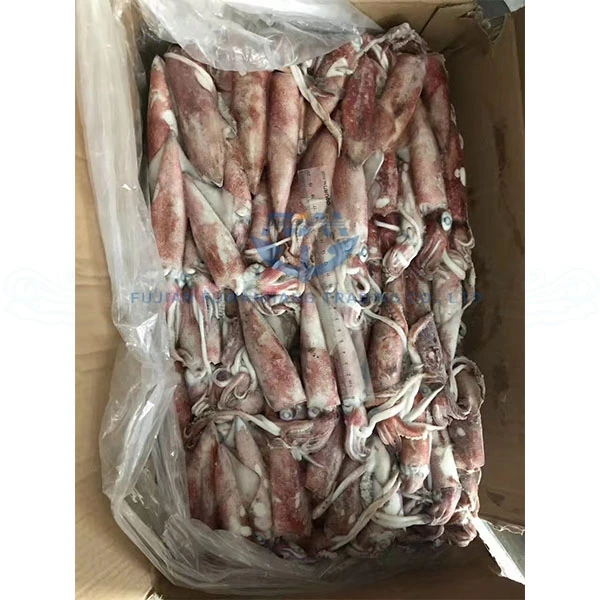 
Frozen squid wild caught loligo squid whole round 