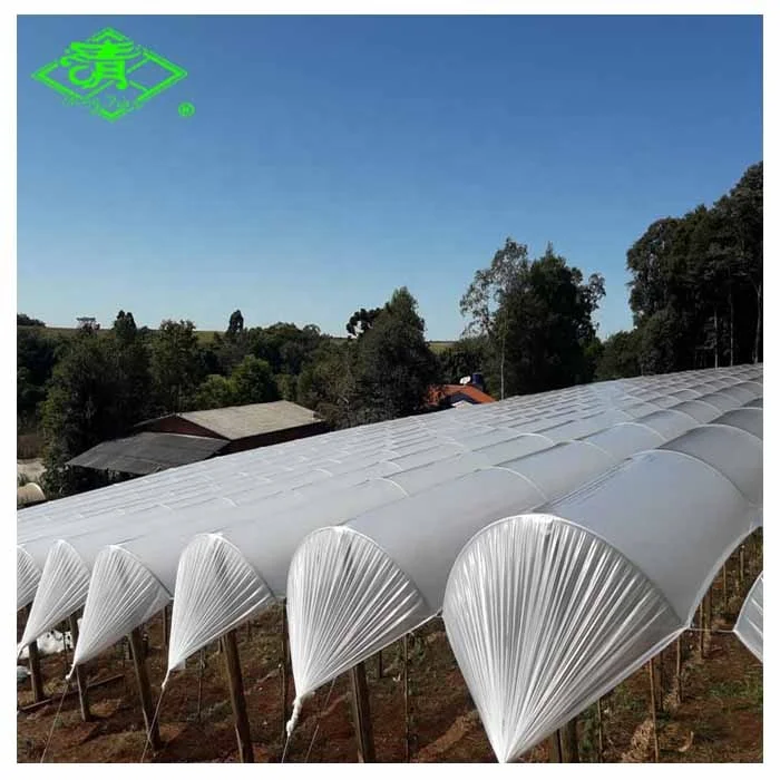 UV Agricultural Plastic Film for Greenhouse planting