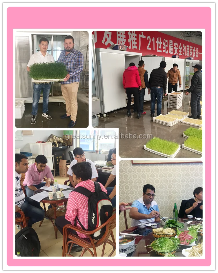 28Tray Sprout germination machine constant temperature intelligent automatic seed germination machine machine