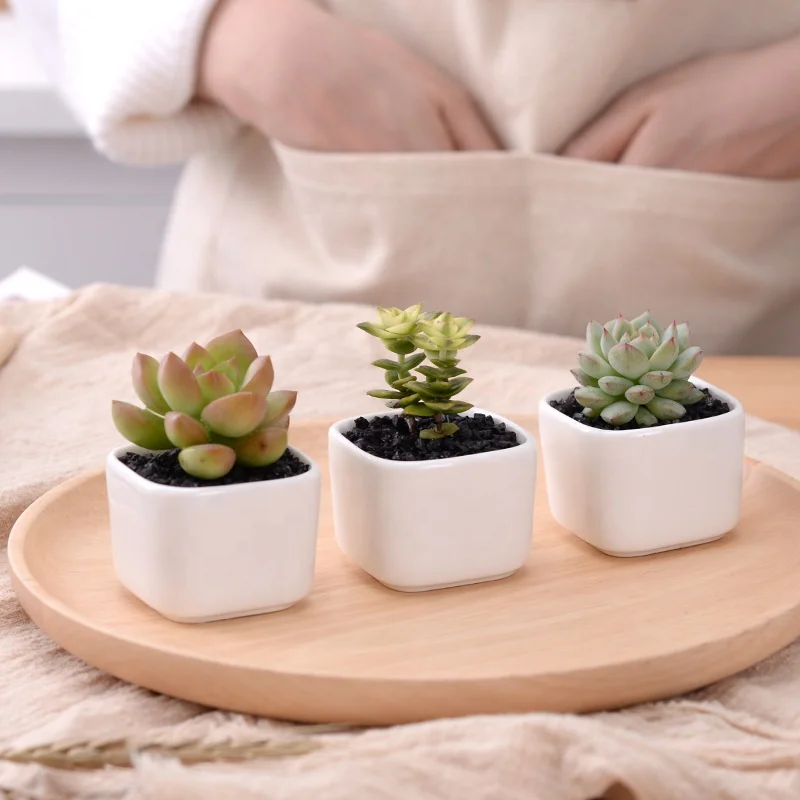 Mini square ceramic fleshy plant flowerpot