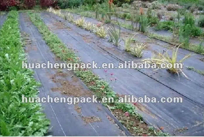 Black polypropylene film rolls