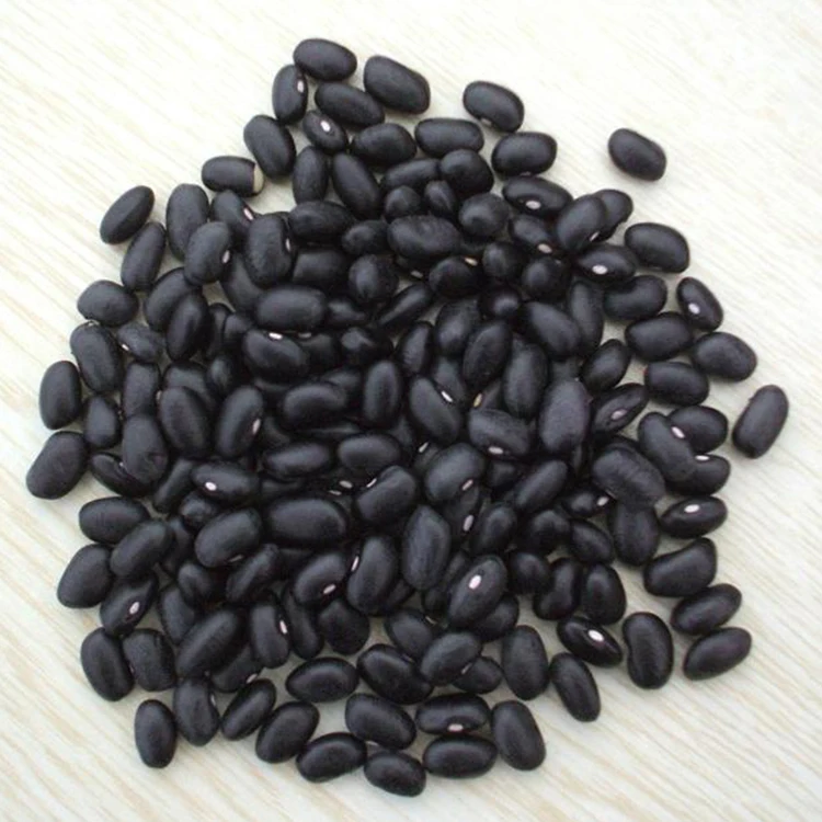 Factory price  Chinese Black bean and black kidney price for export