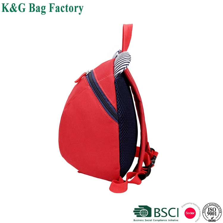 Kids Insulated Toddler Backpack with Safety Harness Leash& Name Label,Preschool Kids Lunch Bag, Little Kids School Bag