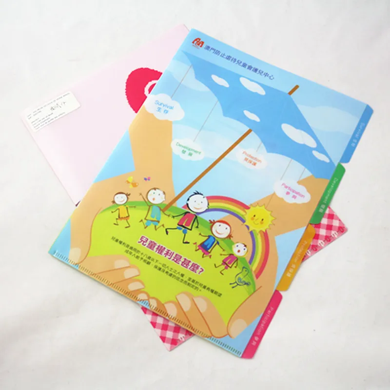 
Factory directly wholesale custom-made L shape a4 size file folder 