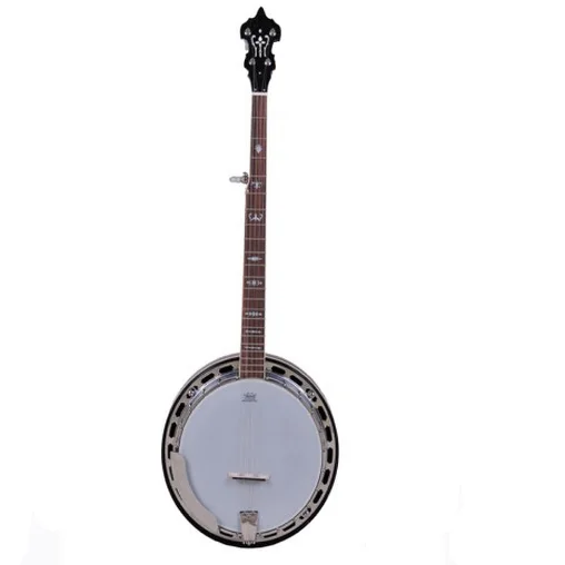 String Instrument Music Instrument Banjo