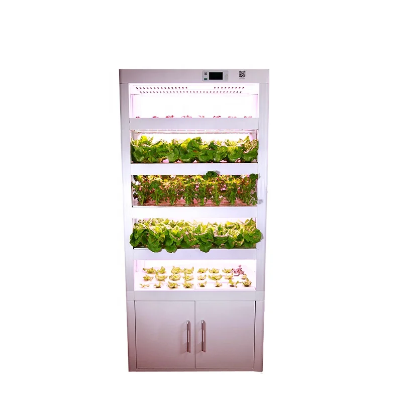 
Hydroponic Tomatoes Complete Grow Indoor Systems Cabinet Green House Commercial Hydroponic Equipment for Leaf Plants 