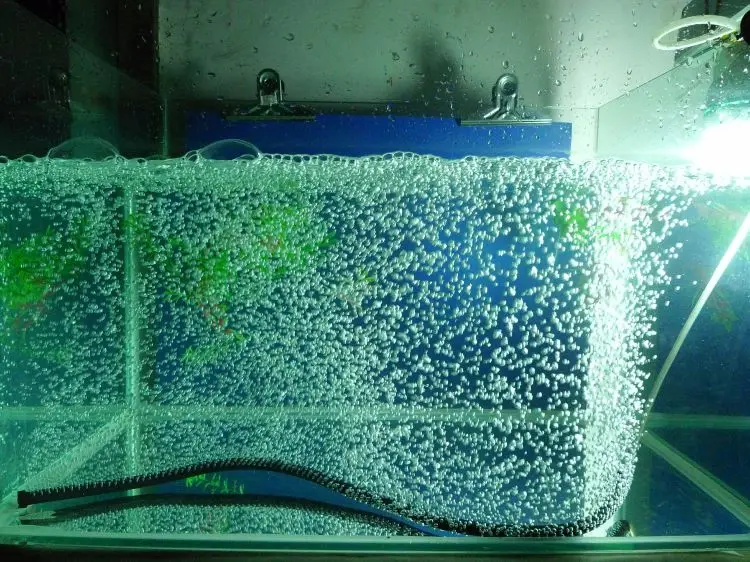 HiSin In bluk R45B 45cm aquarium rubber air diffuser with micro bubbles oxygen bubble tube air pump components