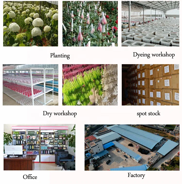 
Factory New Design Wedding White Ivory Rose Decorative Flower Wall Backdrop Wholesale 