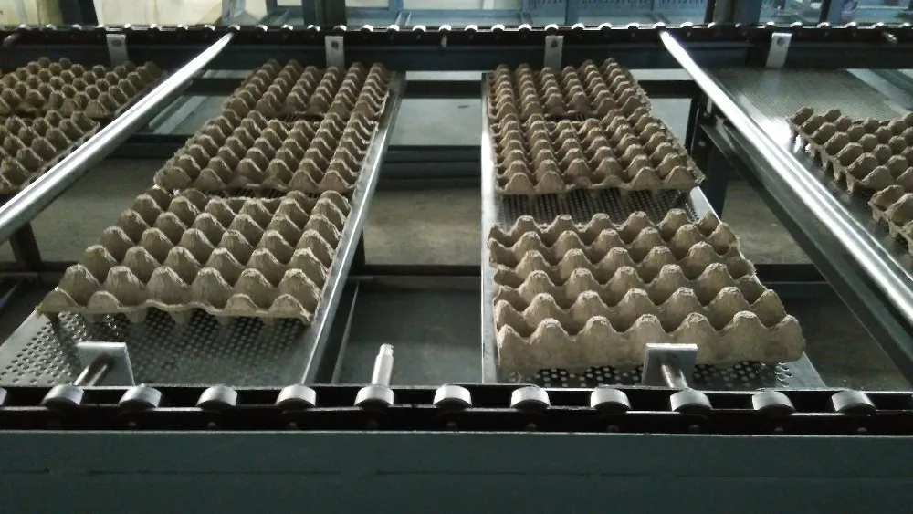 Biodegradalbe Paper Egg Crate Making Machine For Egg Trays / Egg Cartons / Egg Box