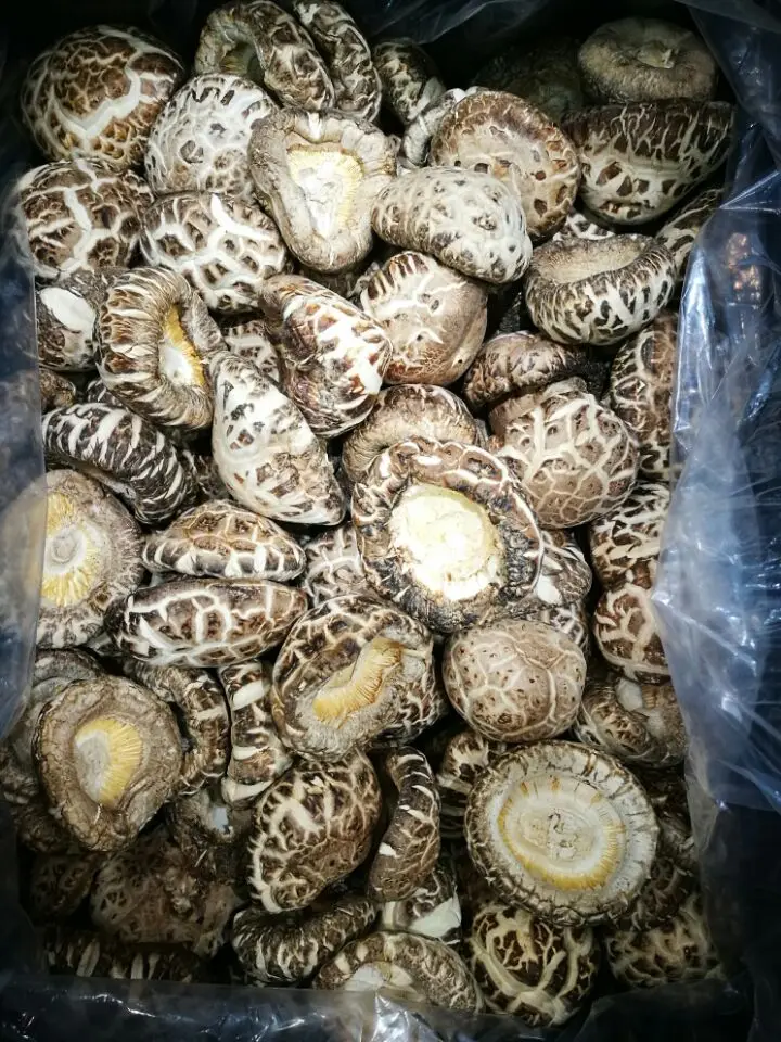 
China Natural Hot Sale Cheap Prices 1Kg Dried Shiitake Mushroom 