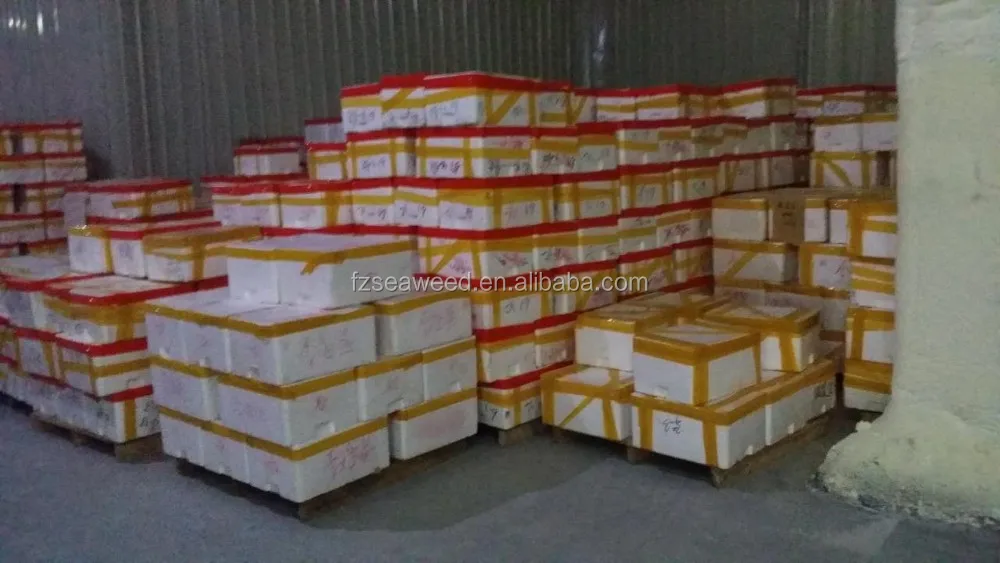 High Quality Dried Sea Cucumber From Taiwan Strait