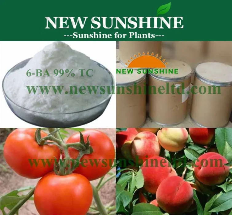 6-BA 6-BAP Plant Hormone Plant Growth Regulator